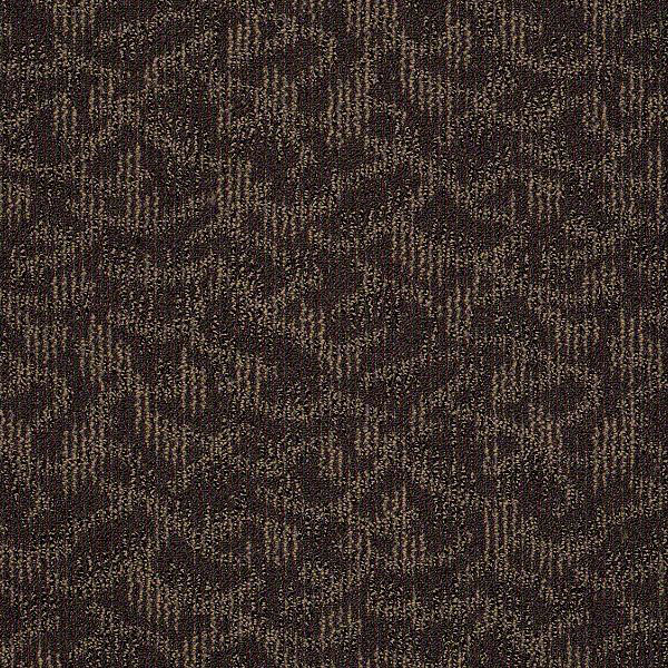 New Release Shaw Carpet Shop from Home & Save! Commercial