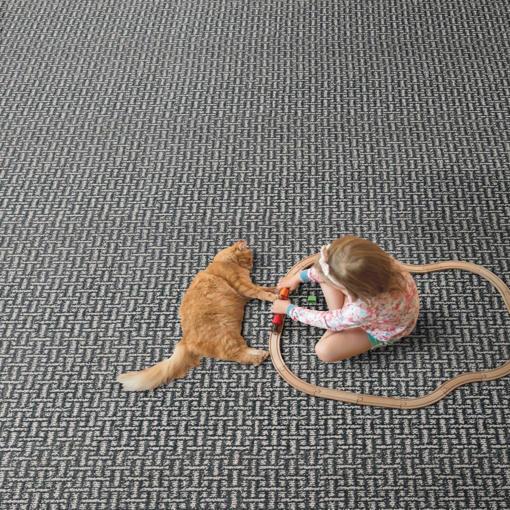 King Alfred - Lapis