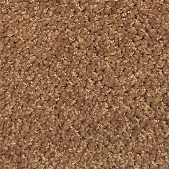 First Edition - Spice