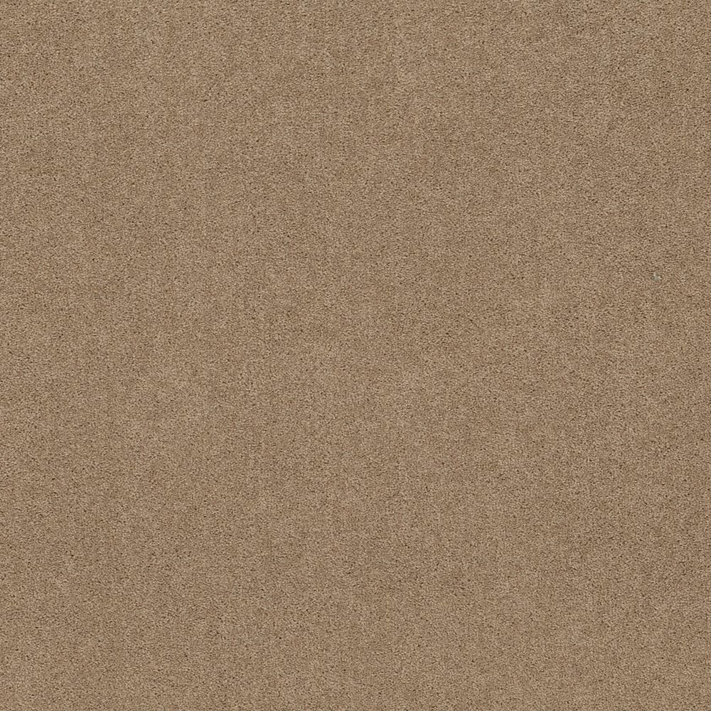 Knockout II 12' - Saddle Soap