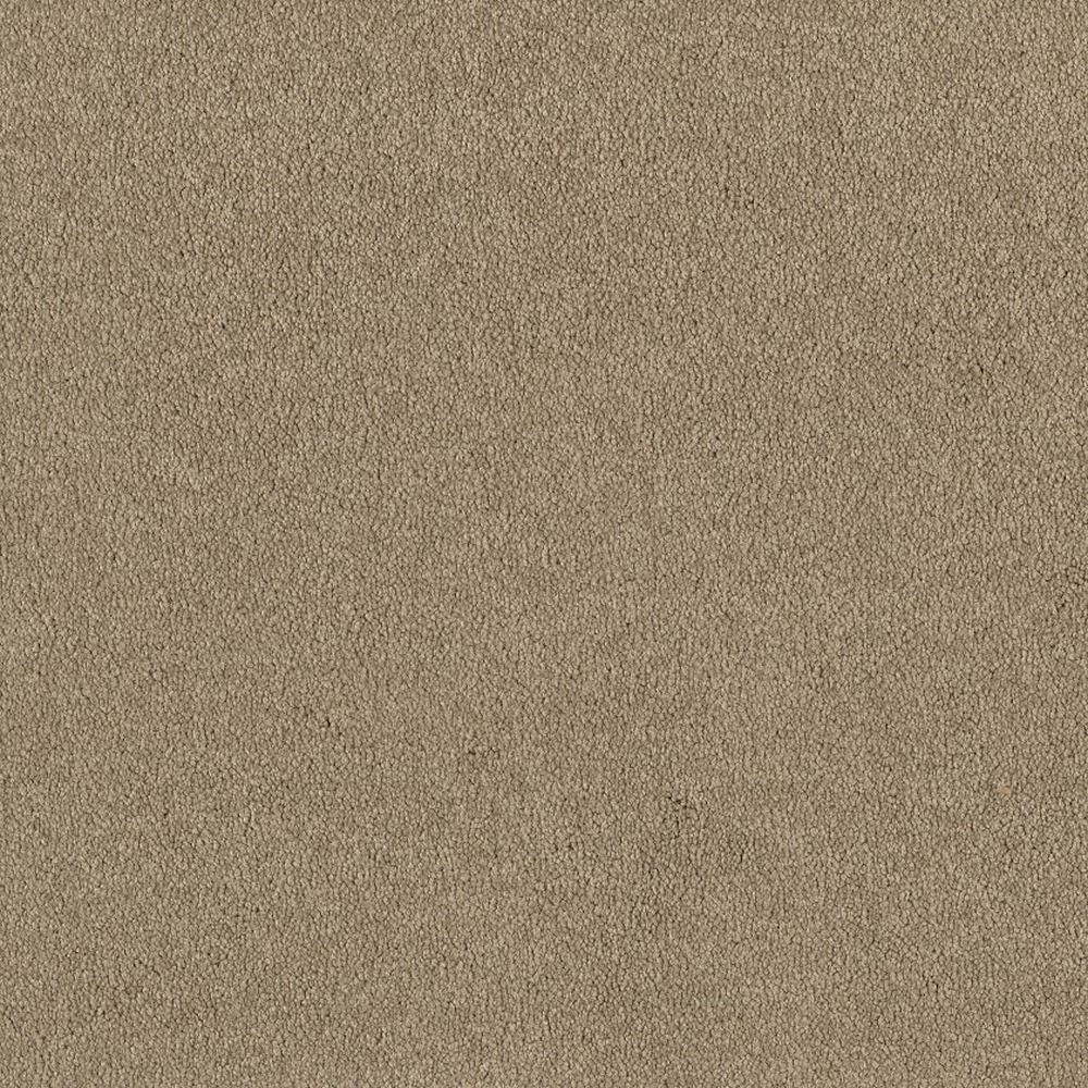 Sandy Hollow I 12 - Soft Shadow