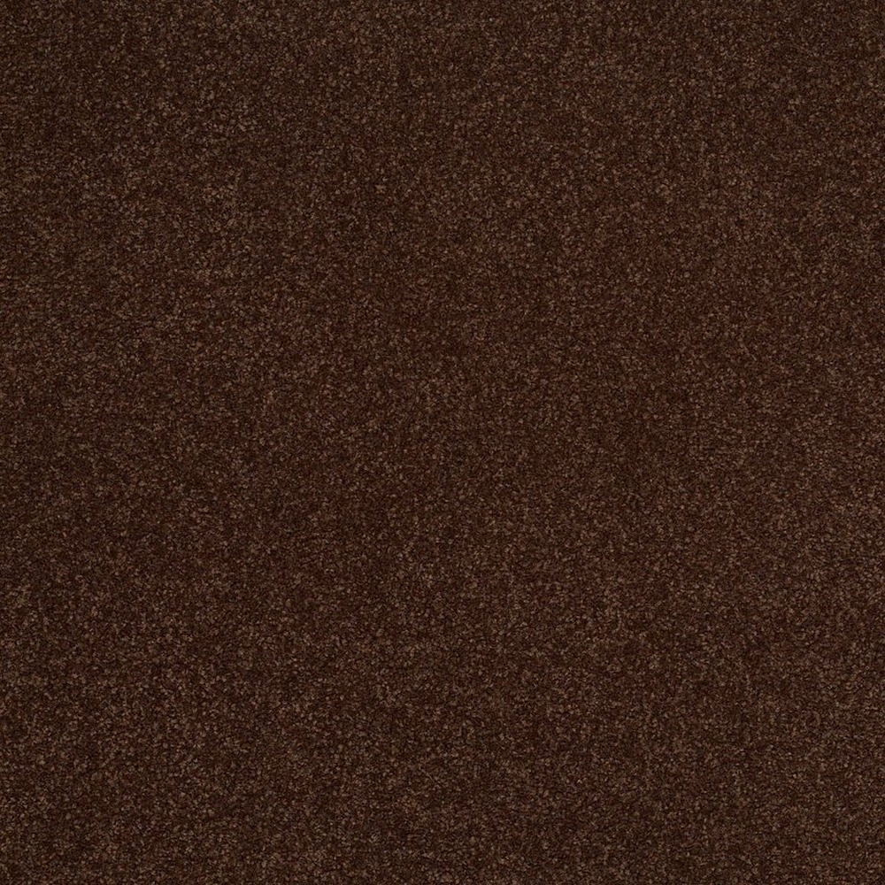 Sandy Hollow III 12 - Coffee Bean