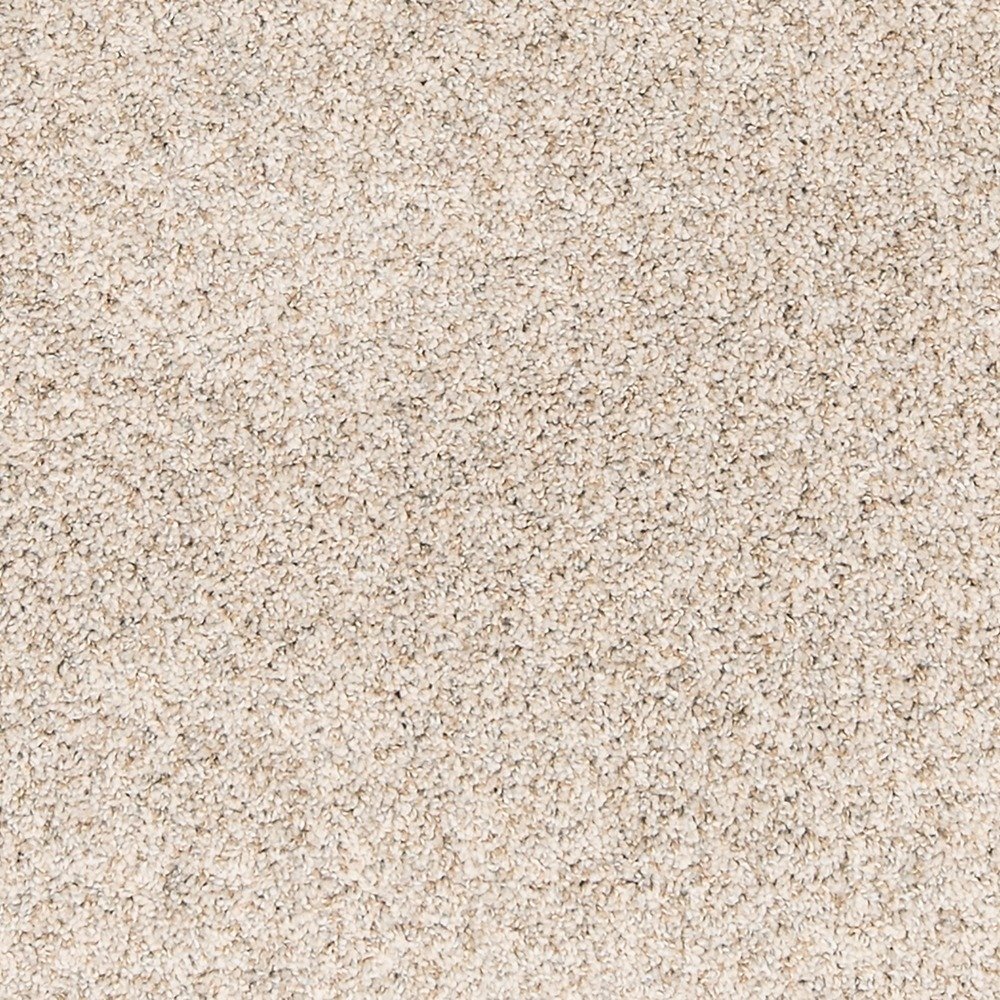 Paw Pathway - Breeze