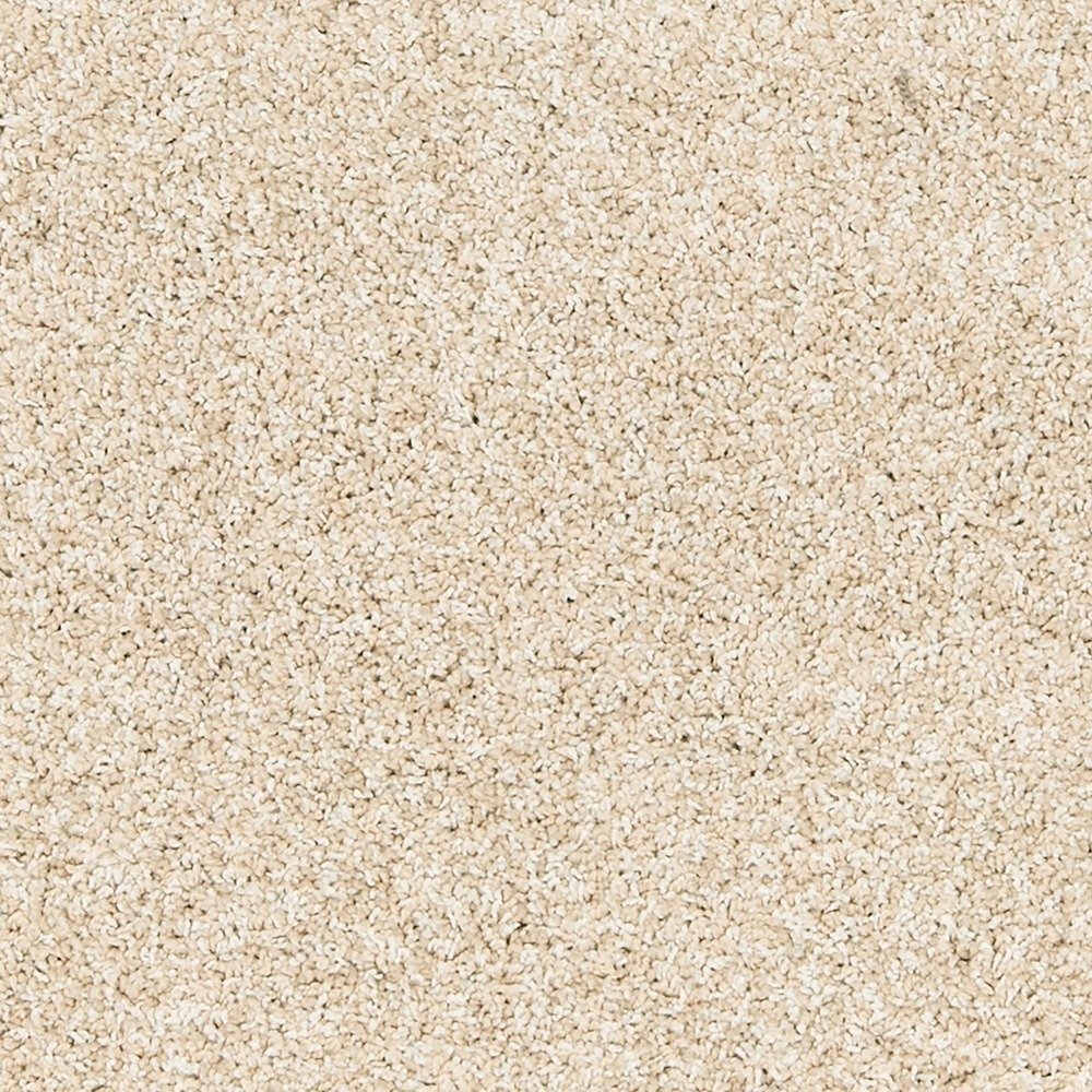 Paw Pathway - Sugar Cone