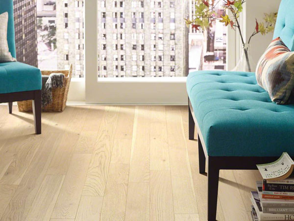 Empire Oak - Vanderbilt