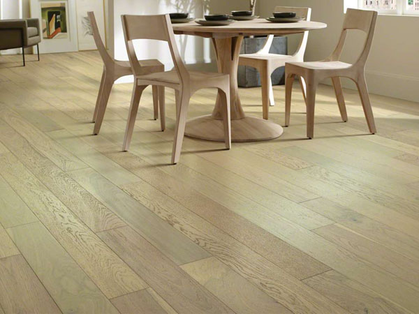 Empire Oak - Carnegie