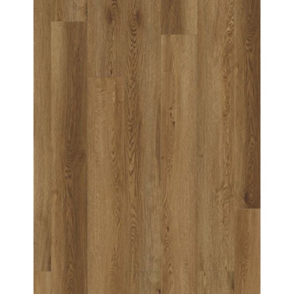 COREtec Plus XL Enhanced - Arvon Oak
