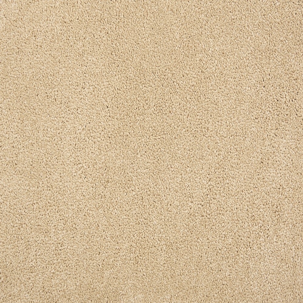 Wessex I - Dune