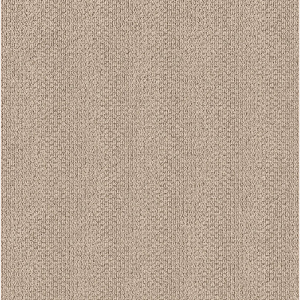 Cathedral Hill II - Brushed Ivory