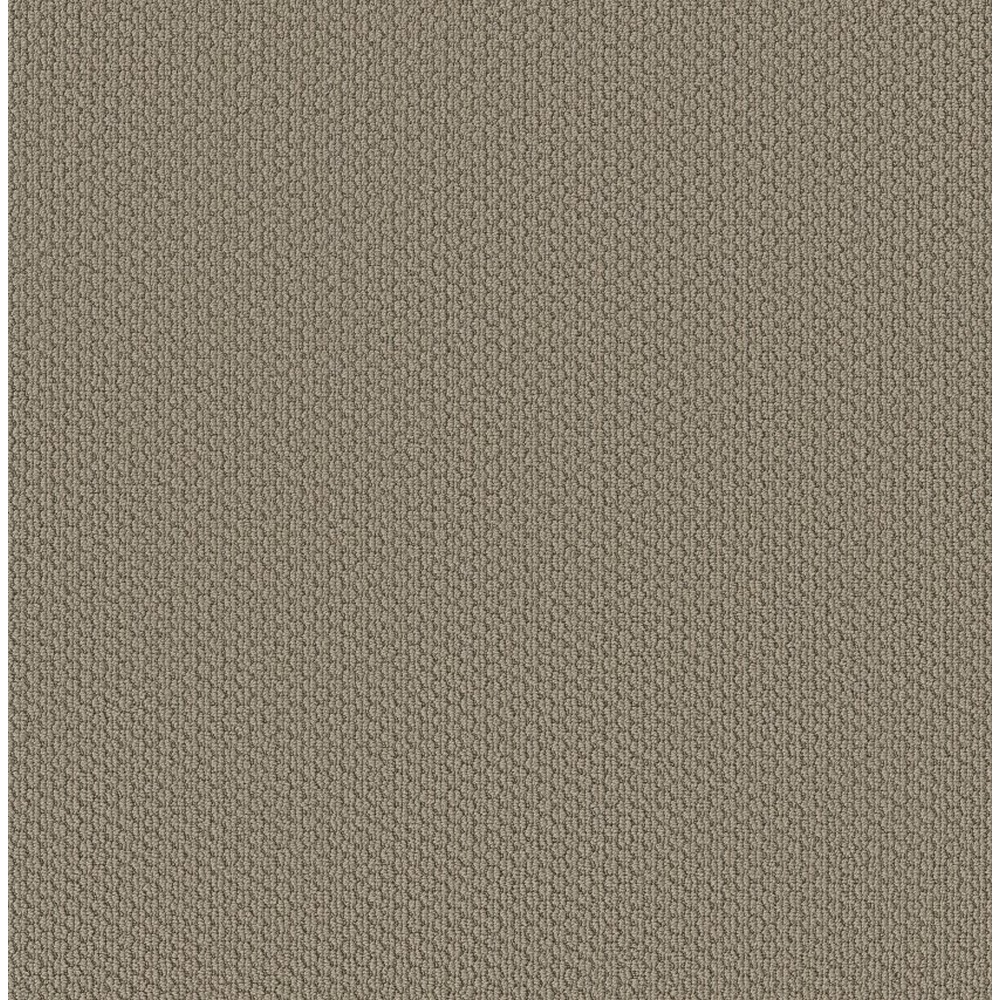 Cathedral Hill II - Taupe Tone