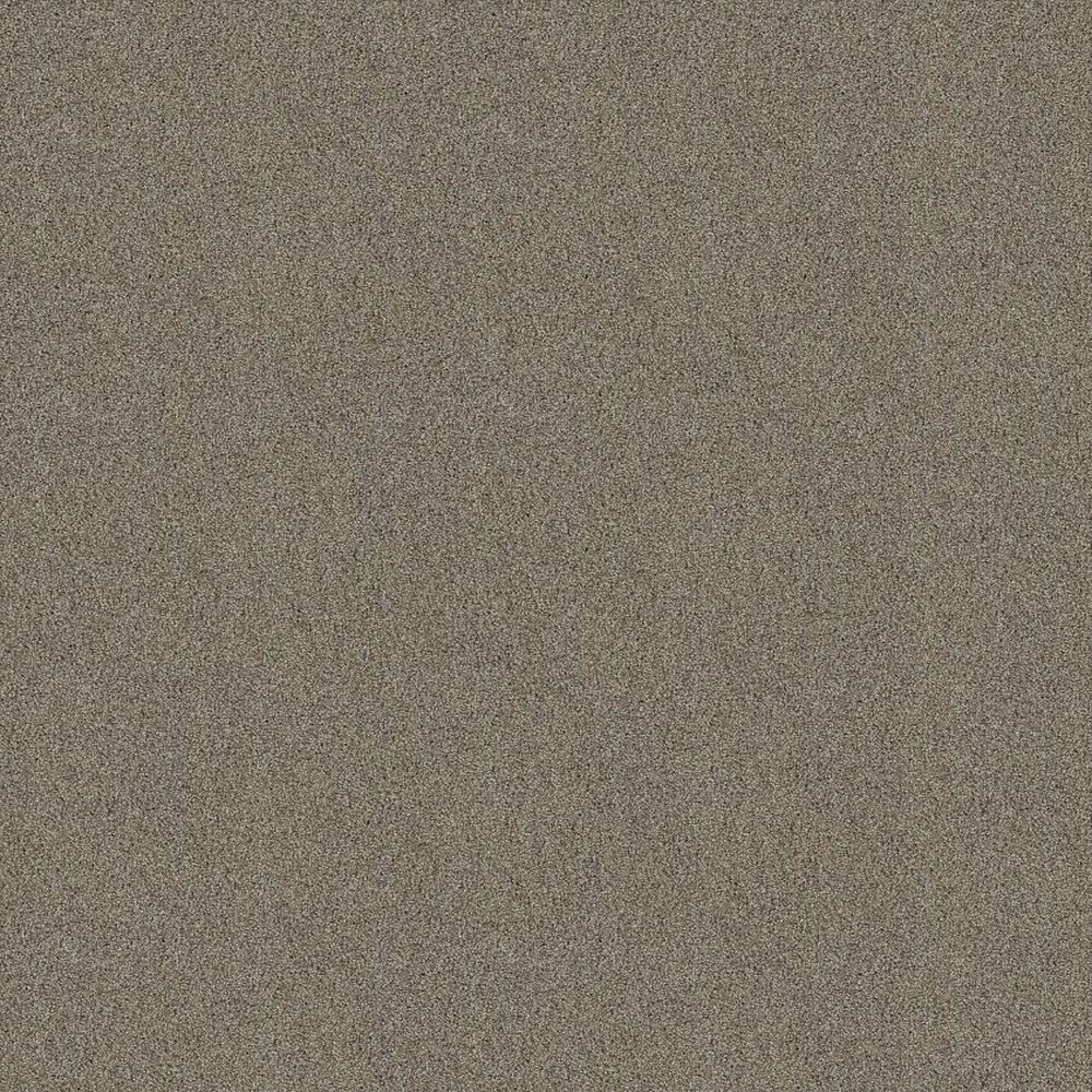 ACADIA PARK - ELUSIVE