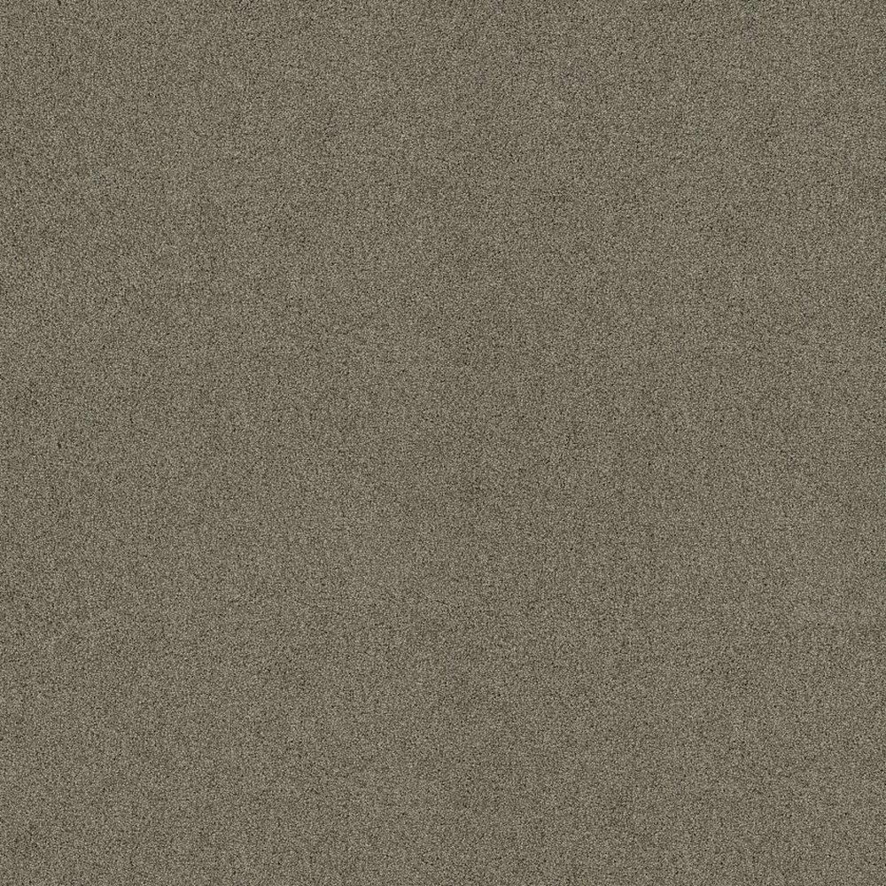 ACADIA PARK - CITY GRAY