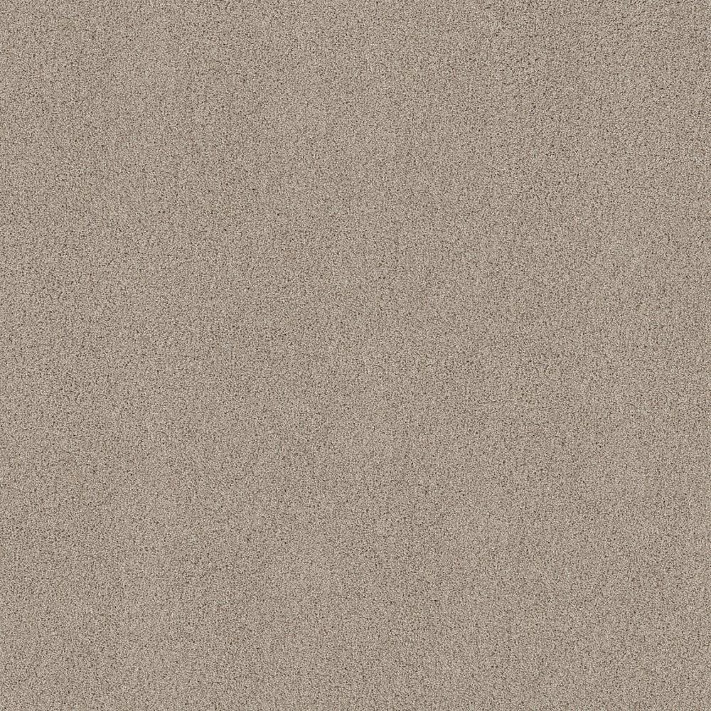 ACADIA PARK - SMOKY SUEDE