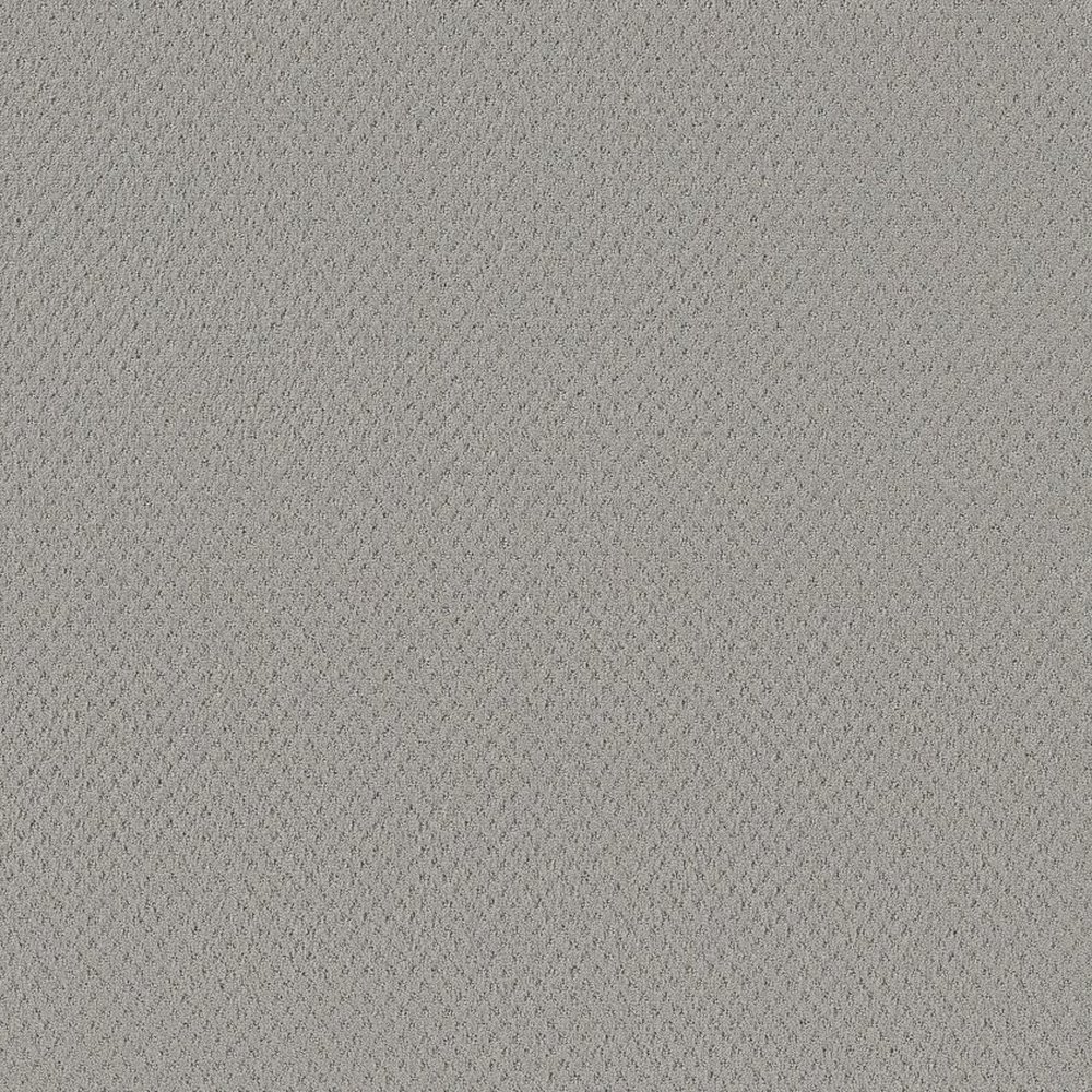 DEL VISTA - SILVER FOX