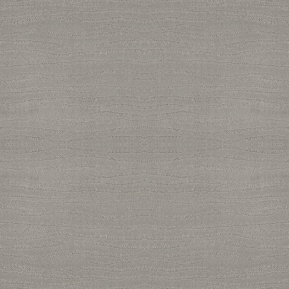 CAPISTRANO - SILVER FOX