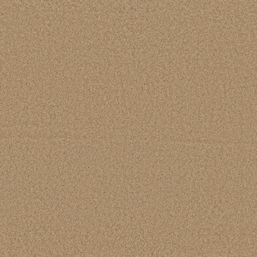 Enchanting - Winter Wheat