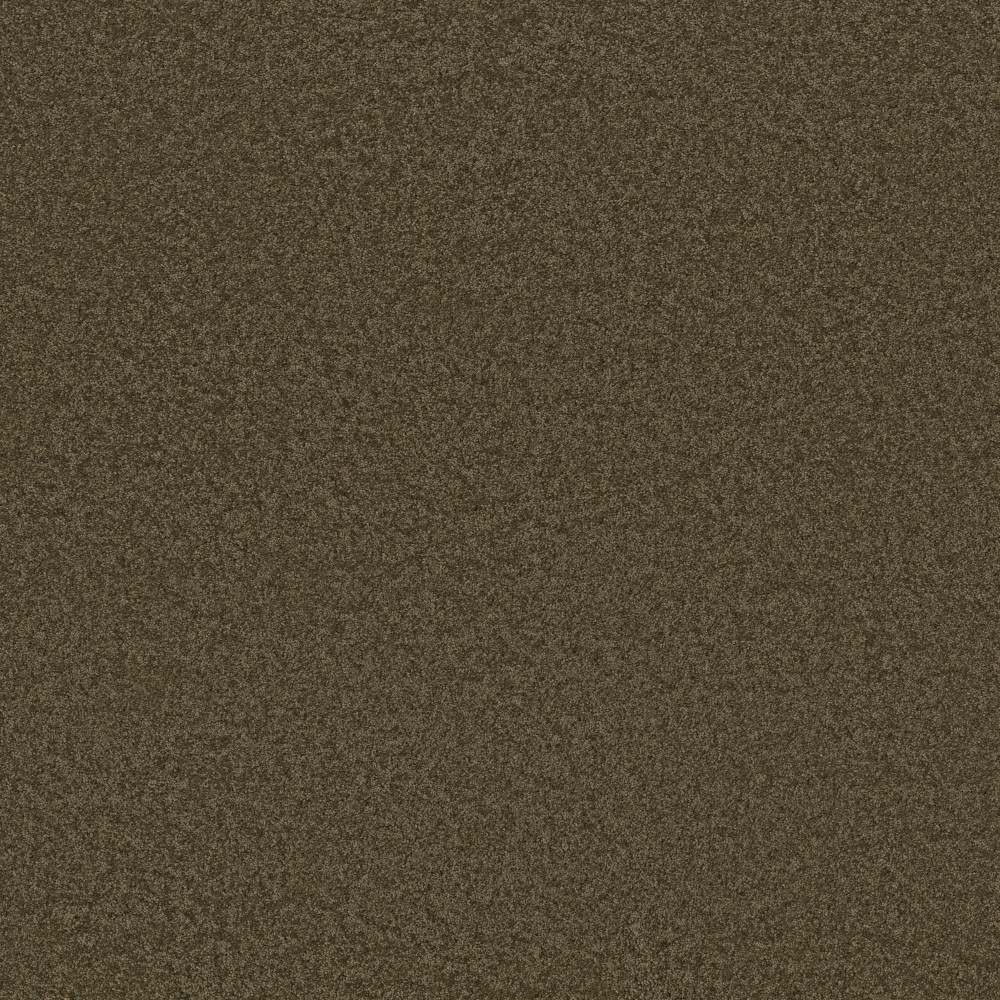 Enchanting - Dark Olive