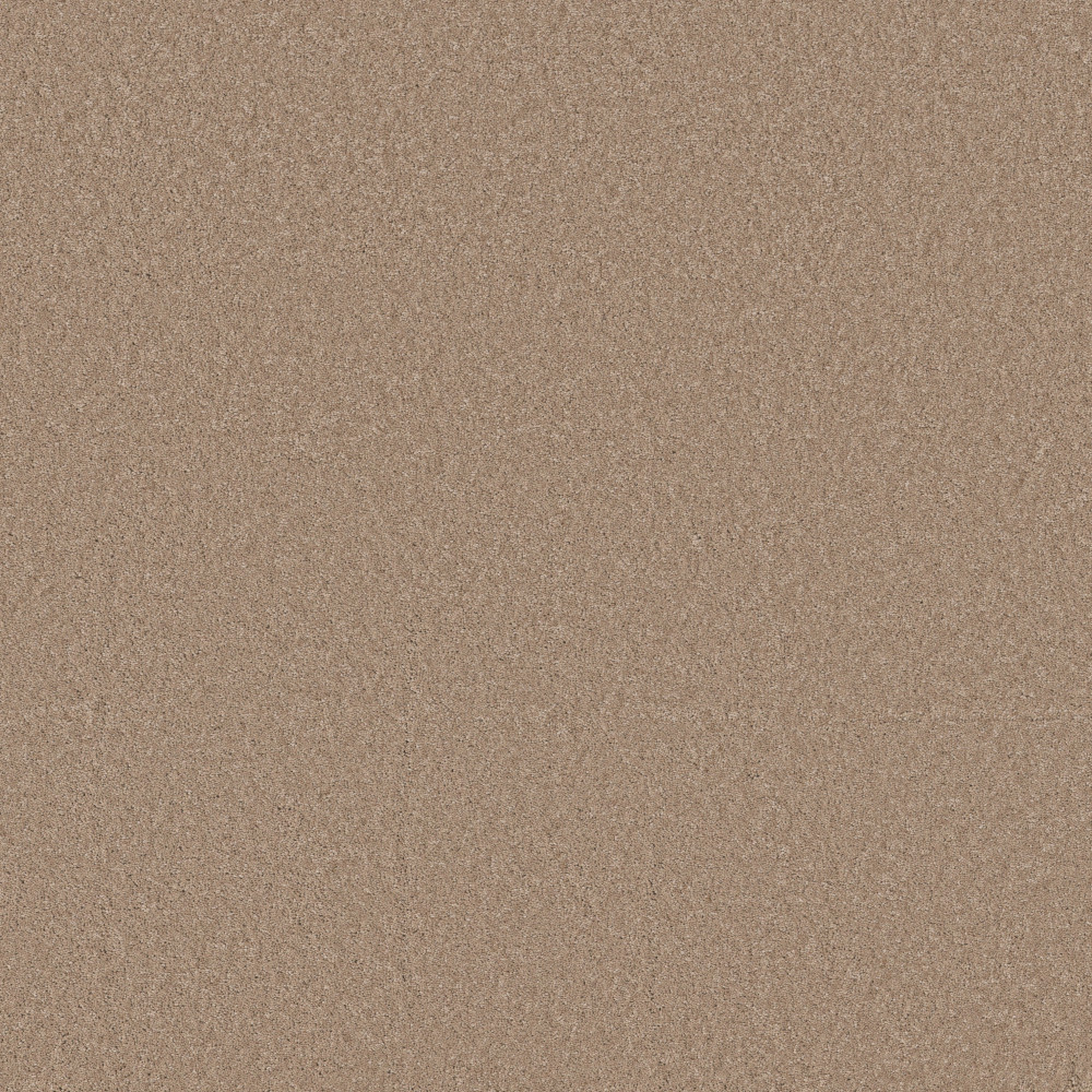 Enchanting - Warm Sand
