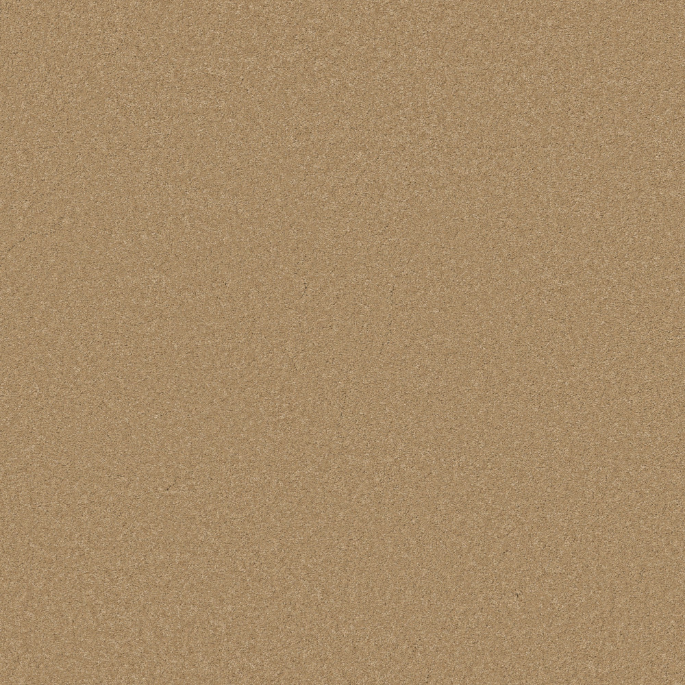 Elegant Beauty - Winter Wheat