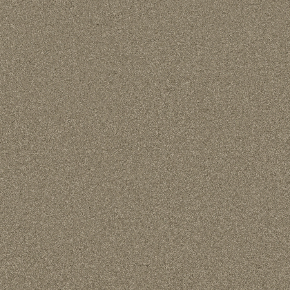 Elegant Beauty - Slate