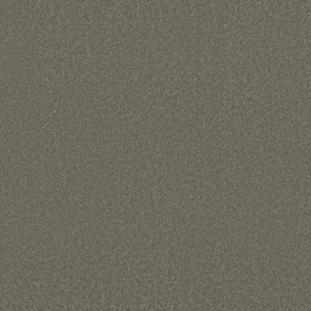 Elegant Beauty - Lunar Rock