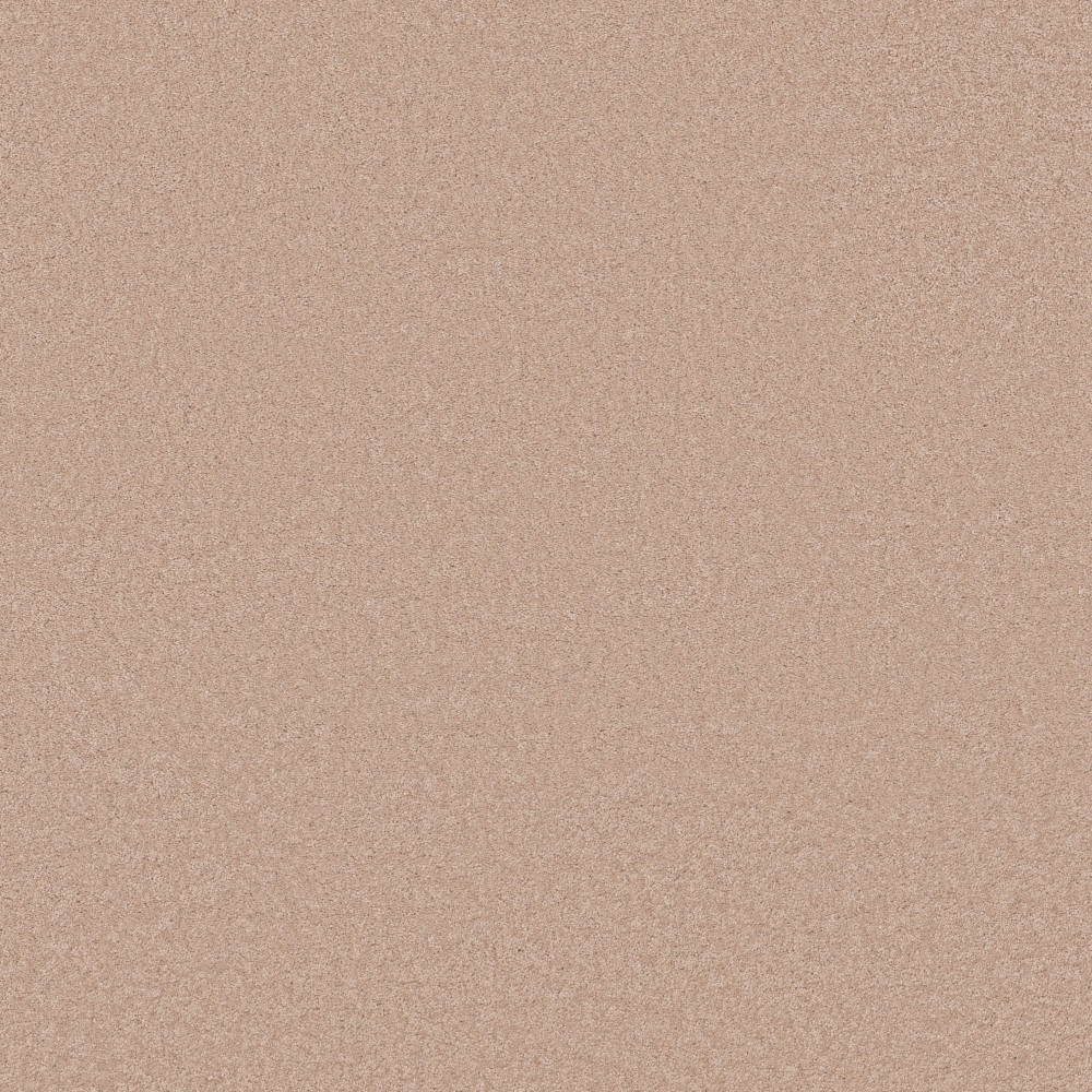 Elegant Beauty - Apricot Ice