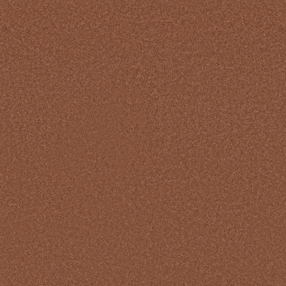 Elegant Beauty - Clay