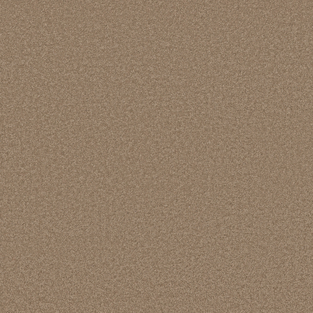 Elegant Beauty - Latte