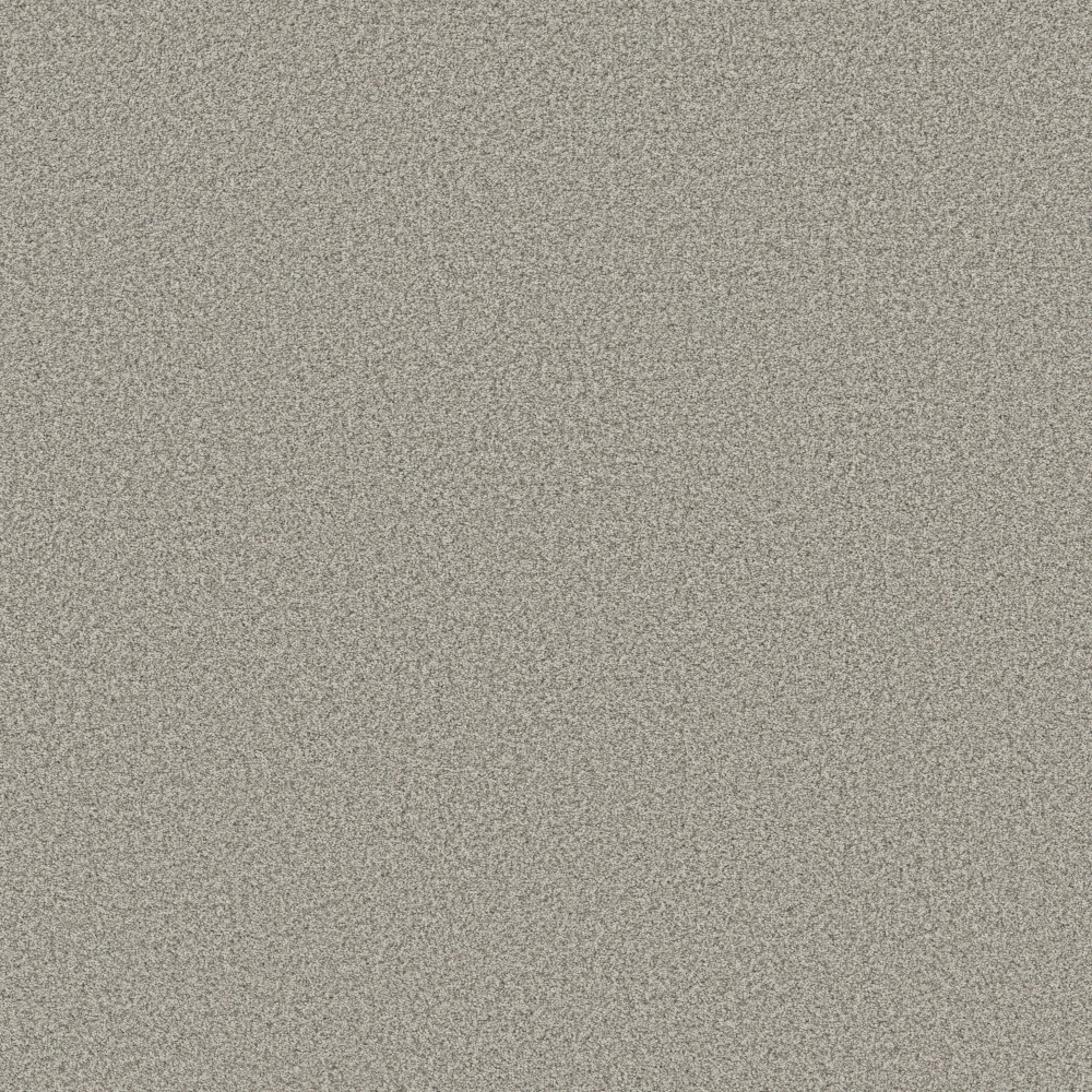 Avalon Bay - Moth Gray