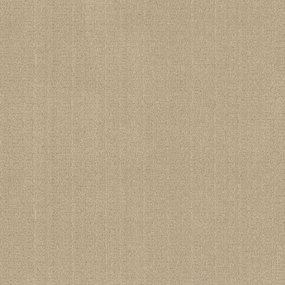 Vignette - Champagne