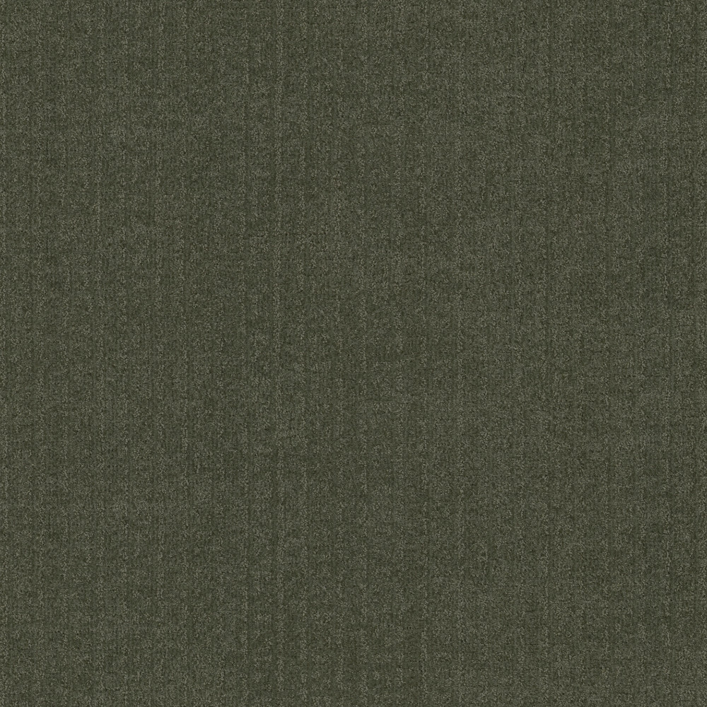 Vignette - Olive Tree
