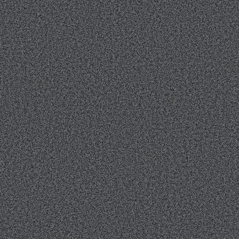 Bella Nova - Tailored