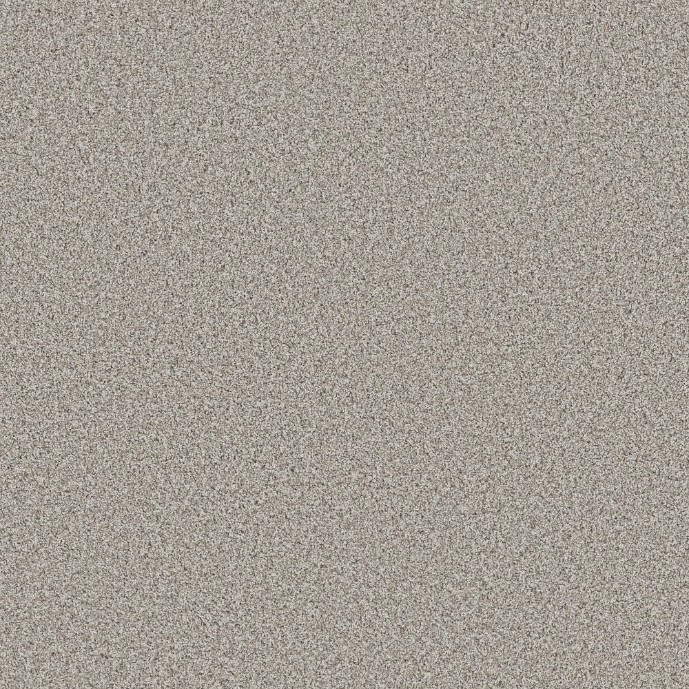 Bella Nova - Platinum