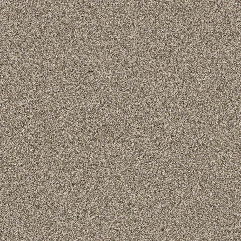 Bella Nova - Pashmina