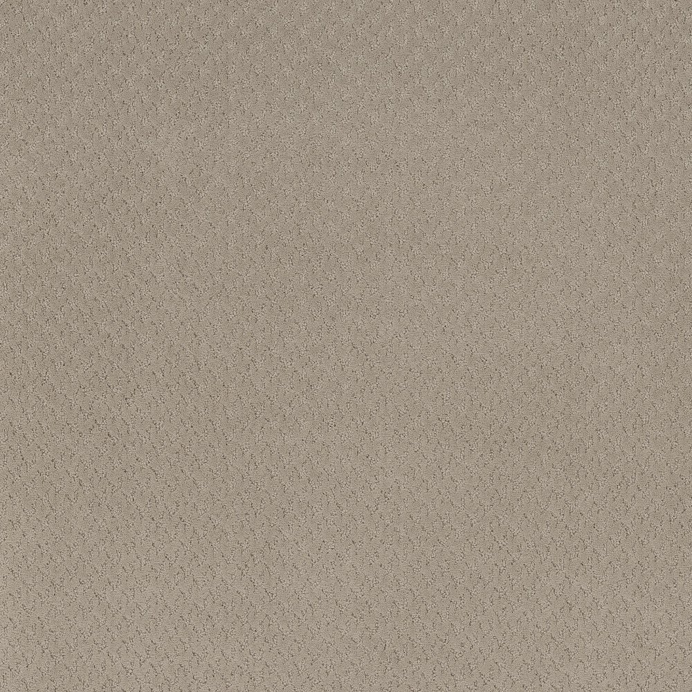 Aperture - Flax