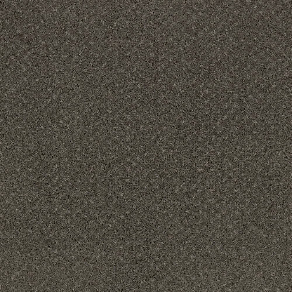 Aperture - Mocha