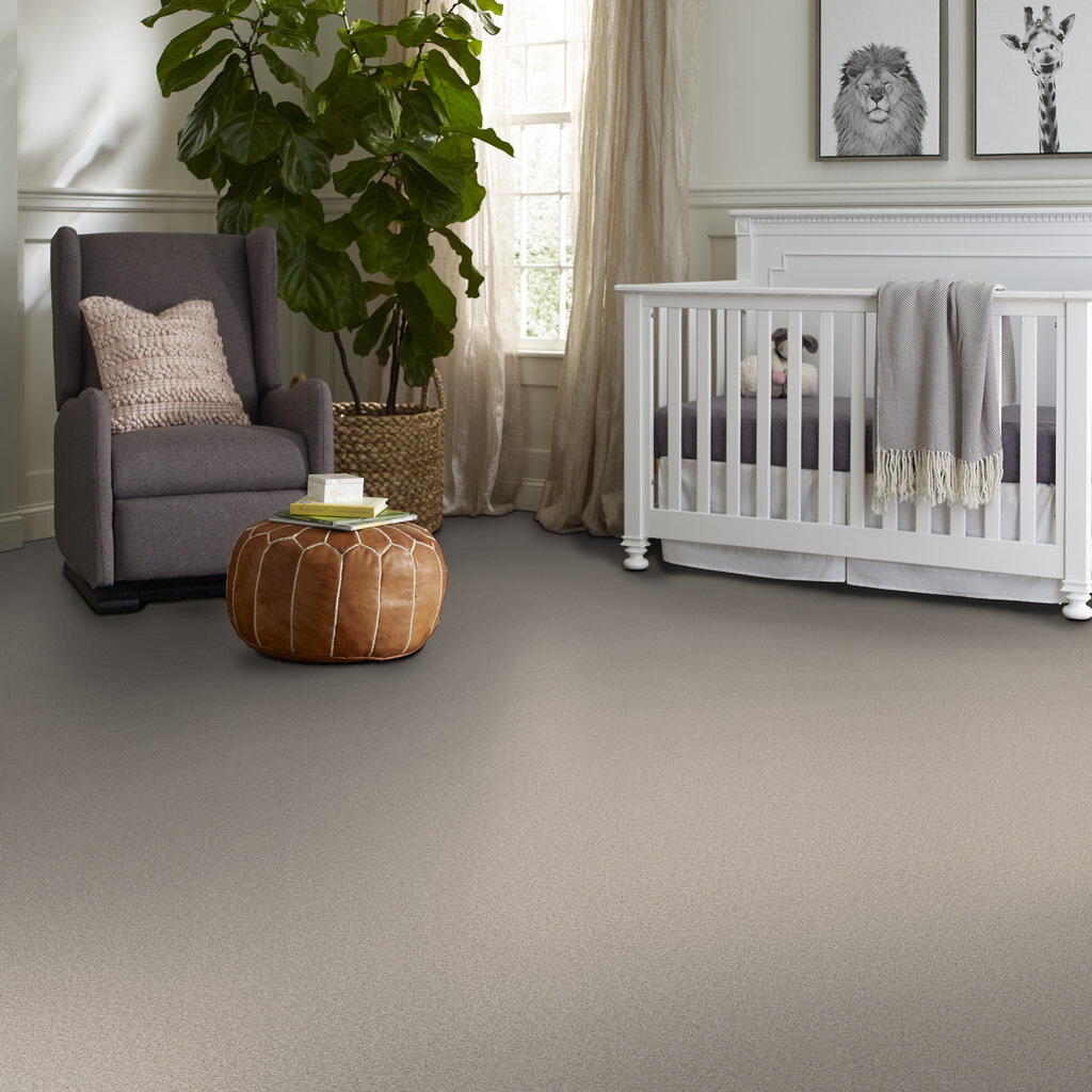 Harmonious II (Split Sediment) by Shaw Carpet Up to 50 Off