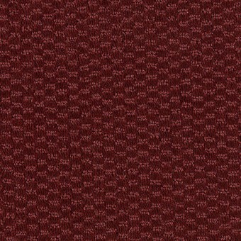 Starcrest - Poppy Red