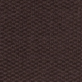 Starcrest - Dark Chocolate