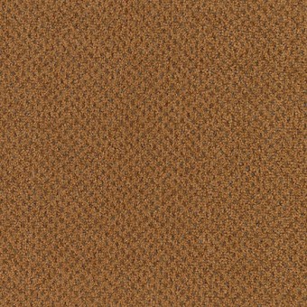 Jazz Pointe - Spice Box From Mohawk Carpet