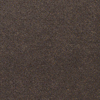 Jazz Pointe - Wrought Iron From Mohawk Carpet
