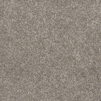 Monarch II - Quartz