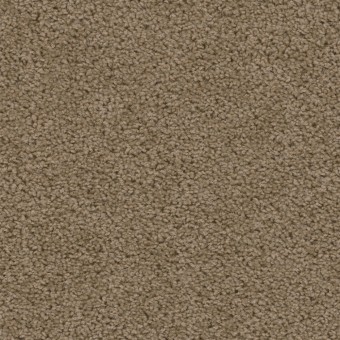Sweepstakes - Honey Beige