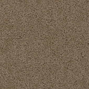 Sweepstakes - Taupe