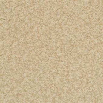 Innovations - Birch