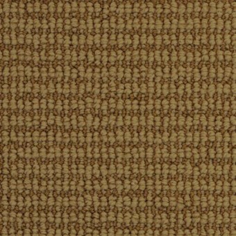 Nature\'s Field - Harvest Time