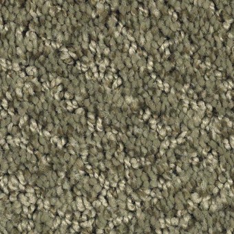 ZEN GARDEN | Mohawk Carpet | Shop from Home & Save! at Carpet Express