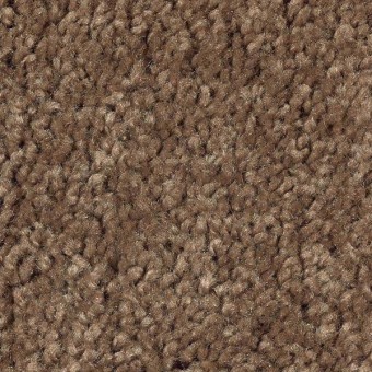 Prestige Style - Acorn Trail