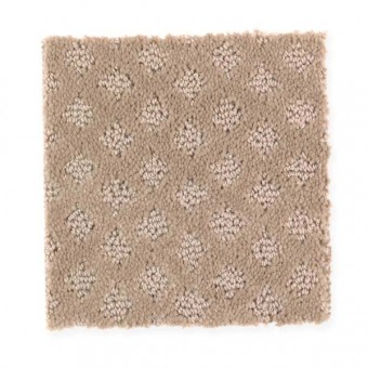 Design Inspiration - Camel