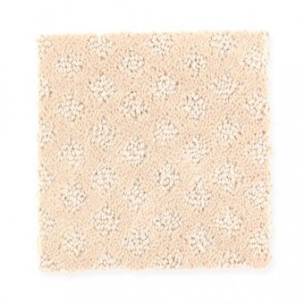 Design Inspiration - Seashell